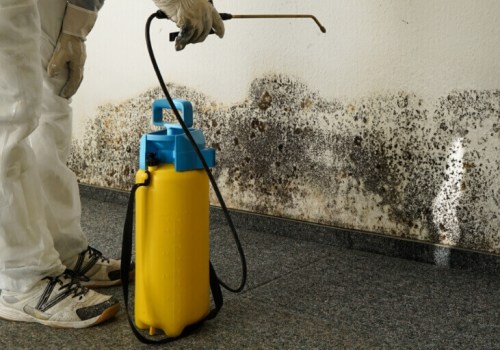 Central Florida Commercial Cleaning That Complements Mold Inspection Protocols