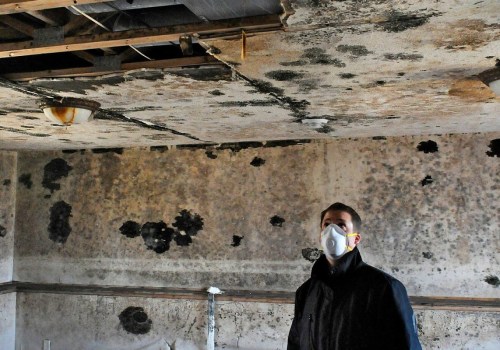 Can a house with mold be fixed?