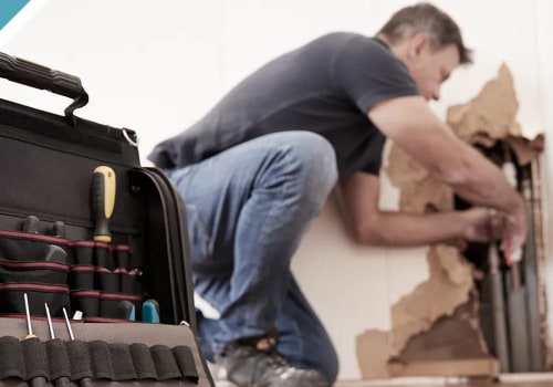The Importance Of Hiring A Mold Remediation Contractor For Mold Inspection In Lynnwood