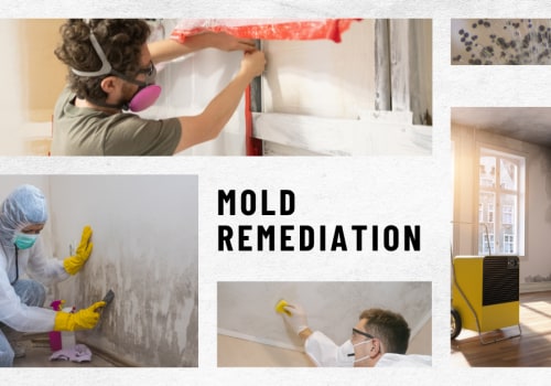 Effective Mold Remediation in St. Louis Park, MN