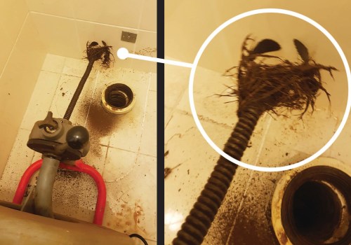 How An Emergency Plumbing Service Can Prevent Mould Growth Prior To Mould Inspection In Adelaide