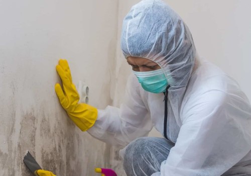 Is it worth getting a mold inspection?