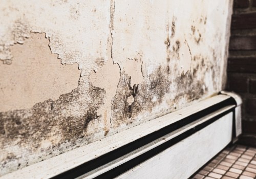 Mold Matters: When and Why You Should Schedule an Inspection