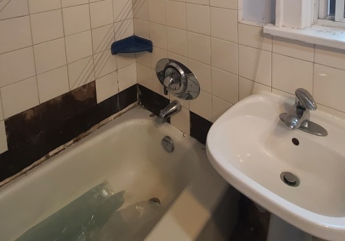 Ensure a Safe Home with Expert Mold Inspection in Oakville