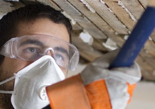 Behind The Scenes: The Connection Between Water Damage Restoration And Mold Inspection In Seattle