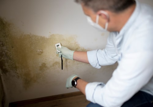 Don’t Let Mold Lurk: The Importance of a Professional Mold Inspection