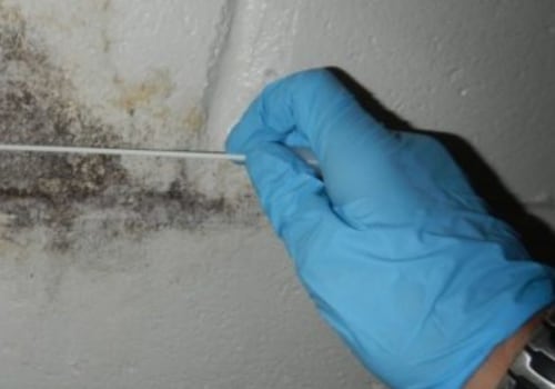 Who pays for mold inspection?
