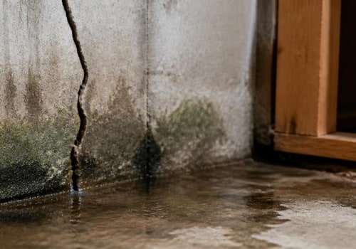 How Cracks in a Foundation Can Contribute to Moisture and Mold Growth
