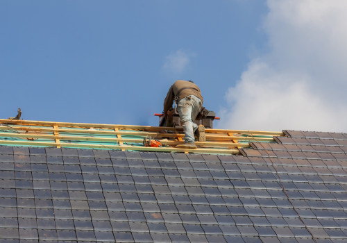 What To Do If You Have Mold In Your Home In Towson