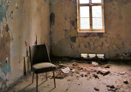 How Mold Inspection Can Ensure Success During Mold Removal Process In Long Island