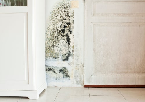 How do mold inspectors find mold?