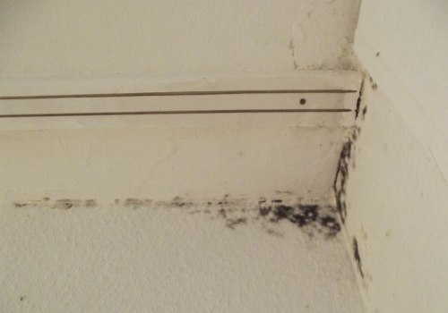 Why Pest Control Is Essential For Effective Mold Inspection In Your Business In Las Vegas